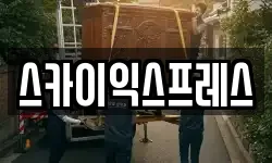 스카이익스프레스