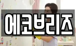 에코브리즈