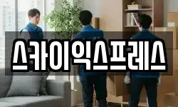 스카이익스프레스