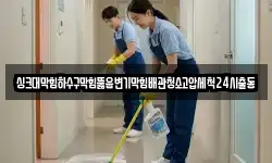 싱크대막힘하수구막힘뚫음변기막힘배관청소고압세척24시출동