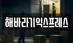 해바라기익스프레스