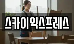 스카이익스프레스