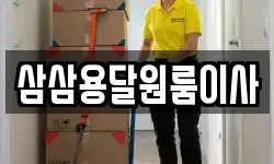 삼삼용달원룸이사