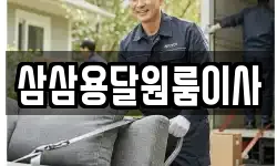 삼삼용달원룸이사