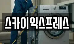 스카이익스프레스