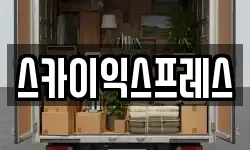 스카이익스프레스