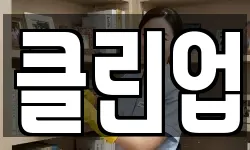클린업