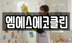 엠에스에코클린