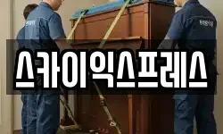 스카이익스프레스