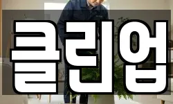 클린업