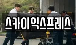 스카이익스프레스
