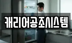 캐리어공조시스템