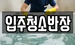 입주청소반장