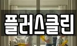 플러스클린