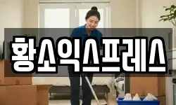 황소익스프레스