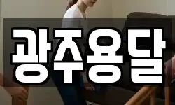 광주용달