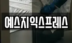 예스지익스프레스