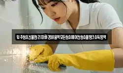 입주청소건물관리미화경비용역모든청소에어컨청소물탱크소독방역