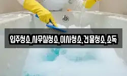 입주청소,사무실청소,이사청소,건물청소,소독