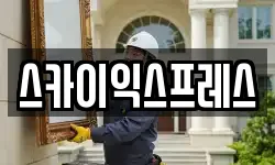 스카이익스프레스