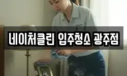 네이처클린 입주청소 광주점