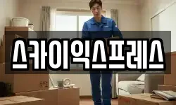 스카이익스프레스
