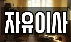 자유이사