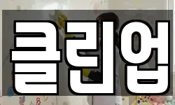 클린업