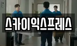 스카이익스프레스