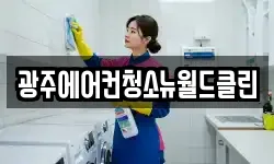 광주에어컨청소뉴월드클린