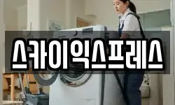 스카이익스프레스