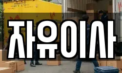 자유이사