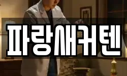 파랑새커텐