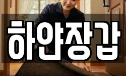 하얀장갑