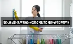 하수구뚫음하수도막힘뚫는곳정화조막힘횡주관오주관청소맨홀역류