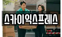 스카이익스프레스