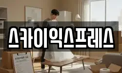 스카이익스프레스