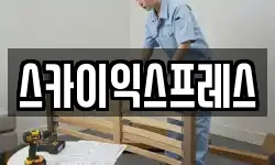 스카이익스프레스