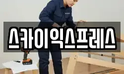 스카이익스프레스
