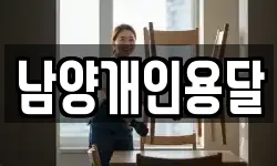 남양개인용달
