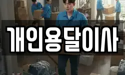 개인용달이사