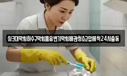 싱크대막힘하수구막힘뚫음변기막힘배관청소고압세척24시출동