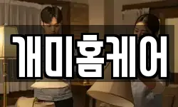개미홈케어