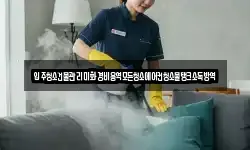 입주청소건물관리미화경비용역모든청소에어컨청소물탱크소독방역