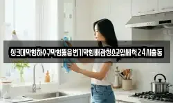 싱크대막힘하수구막힘뚫음변기막힘배관청소고압세척24시출동