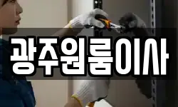 광주원룸이사