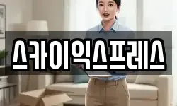 스카이익스프레스