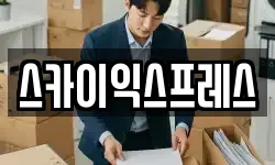 스카이익스프레스