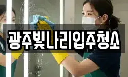광주빛나리입주청소