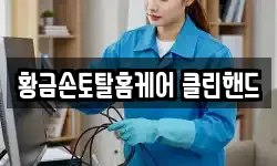 황금손토탈홈케어 클린핸드